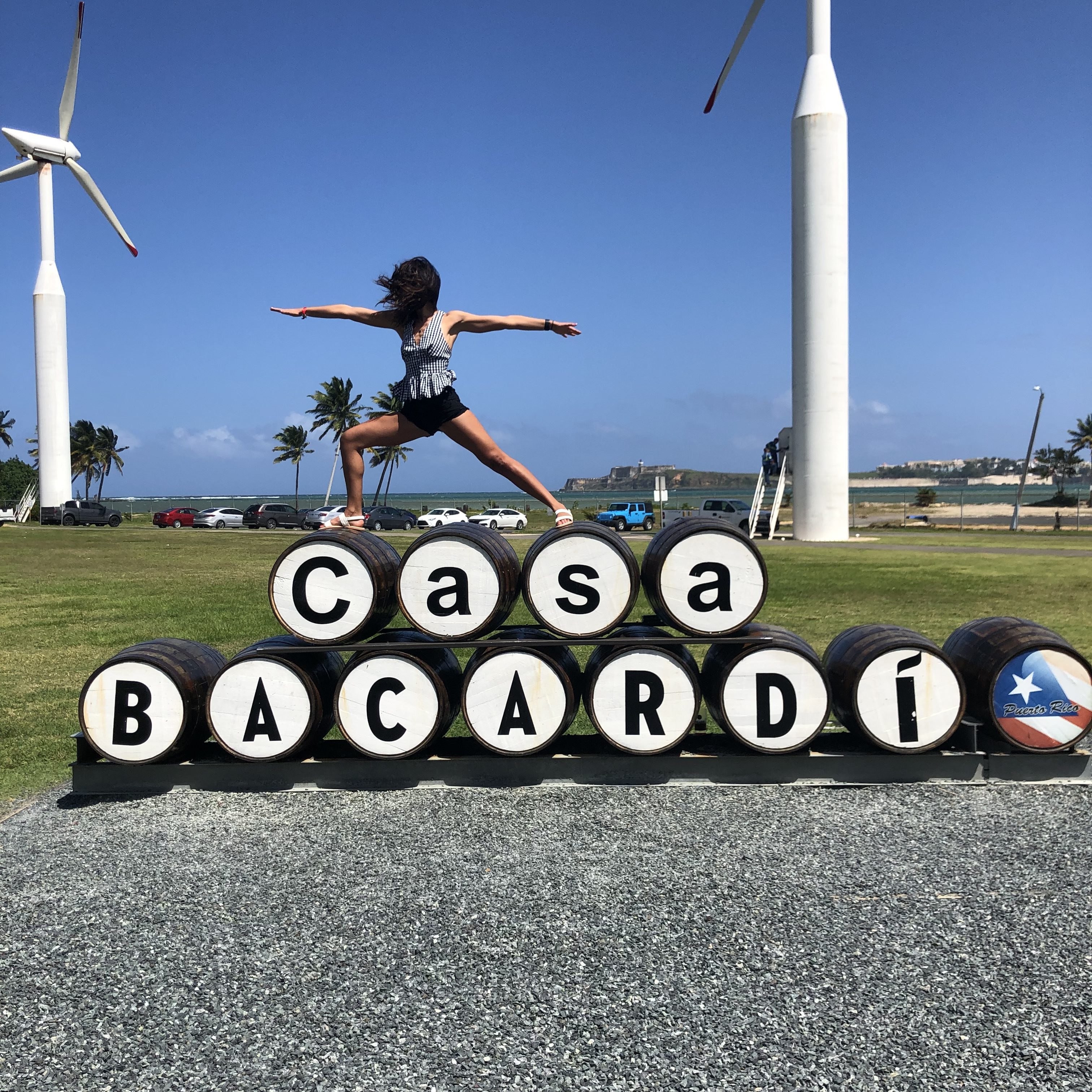 Luxury yoga retreat in Puerto Rico, beachfront paradise with palm trees, tropical setting at sunset